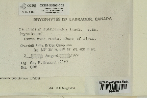 ( - CCDB-25692-C02)  @11 [ ] CreativeCommons - Attribution Non-Commercial Share-Alike (2018) Masha L. Kuzmina Canadian Centre for DNA Barcoding
