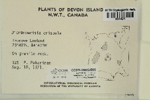  ( - CCDB-25692-E05)  @11 [ ] CreativeCommons - Attribution Non-Commercial Share-Alike (2018) Masha L. Kuzmina Canadian Centre for DNA Barcoding