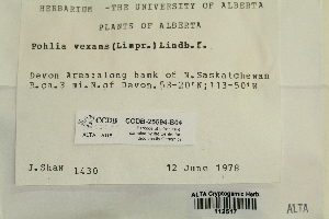  ( - CCDB-25694-B04)  @11 [ ] CreativeCommons - Attribution Non-Commercial Share-Alike (2018) Masha L. Kuzmina Canadian Centre for DNA Barcoding