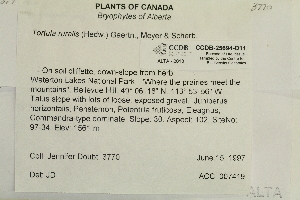  ( - CCDB-25694-D11)  @11 [ ] CreativeCommons - Attribution Non-Commercial Share-Alike (2018) Masha L. Kuzmina Canadian Centre for DNA Barcoding
