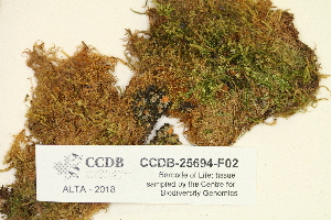  ( - CCDB-25694-F02)  @11 [ ] CreativeCommons - Attribution Non-Commercial Share-Alike (2018) Masha L. Kuzmina Canadian Centre for DNA Barcoding