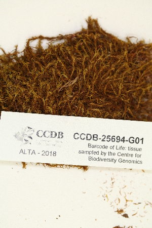  ( - CCDB-25694-G01)  @11 [ ] CreativeCommons - Attribution Non-Commercial Share-Alike (2018) Masha L. Kuzmina Canadian Centre for DNA Barcoding