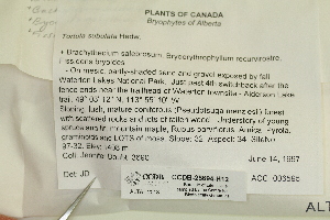  ( - CCDB-25694-H12)  @11 [ ] CreativeCommons - Attribution Non-Commercial Share-Alike (2018) Masha L. Kuzmina Canadian Centre for DNA Barcoding