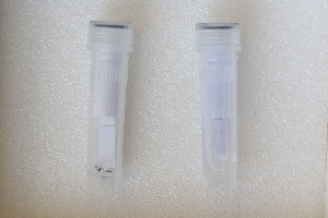  ( - MRS_JFT1026)  @11 [ ] CreativeCommons - Attribution Share-Alike (2024) Unspecified Canadian National Collection of Insects, Arachnids and Nematodes