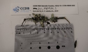  ( - CCDB-48846-D03)  @11 [ ] CreativeCommons - Attribution Non-Commercial Share-Alike (2060) Canadian Museum of Nature Canadian Museum of Nature