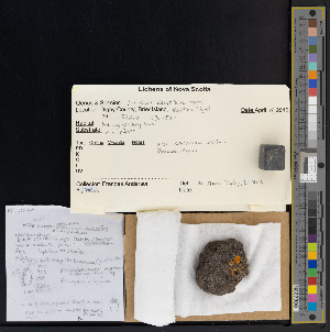  ( - CCDB-51018-B06)  @11 [ ] CreativeCommons - Attribution Non-Commercial Share-Alike (2025) Canadian Museum of Nature Canadian Museum of Nature