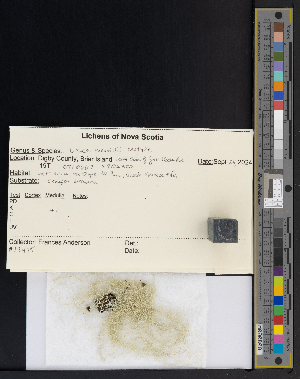  ( - CCDB-51018-B12)  @11 [ ] CreativeCommons - Attribution Non-Commercial Share-Alike (2025) Canadian Museum of Nature Canadian Museum of Nature