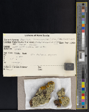  ( - CCDB-51018-D07)  @11 [ ] CreativeCommons - Attribution Non-Commercial Share-Alike (2025) Canadian Museum of Nature Canadian Museum of Nature