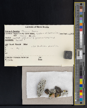  ( - CCDB-51018-H08)  @11 [ ] CreativeCommons - Attribution Non-Commercial Share-Alike (2025) Canadian Museum of Nature Canadian Museum of Nature