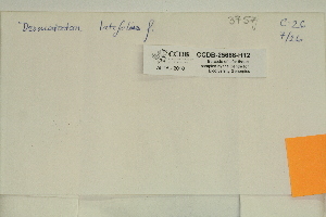  ( - CCDB-25686-H12)  @11 [ ] CreativeCommons - Attribution Non-Commercial Share-Alike (2018) Masha L. Kuzmina Canadian Centre for DNA Barcoding