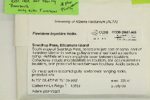  ( - CCDB-25687-A08)  @11 [ ] CreativeCommons - Attribution Non-Commercial Share-Alike (2018) Masha L. Kuzmina Canadian Centre for DNA Barcoding