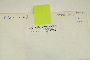  ( - CCDB-25687-C02)  @11 [ ] CreativeCommons - Attribution Non-Commercial Share-Alike (2018) Masha L. Kuzmina Canadian Centre for DNA Barcoding