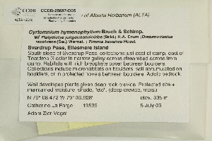  ( - CCDB-25687-D05)  @11 [ ] CreativeCommons - Attribution Non-Commercial Share-Alike (2018) Masha L. Kuzmina Canadian Centre for DNA Barcoding