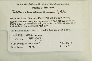  ( - CCDB-25687-E05)  @11 [ ] CreativeCommons - Attribution Non-Commercial Share-Alike (2018) Masha L. Kuzmina Canadian Centre for DNA Barcoding