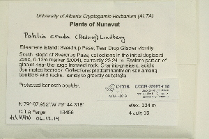  ( - CCDB-25687-F08)  @11 [ ] CreativeCommons - Attribution Non-Commercial Share-Alike (2018) Masha L. Kuzmina Canadian Centre for DNA Barcoding