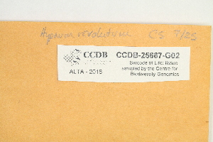  ( - CCDB-25687-G02)  @11 [ ] CreativeCommons - Attribution Non-Commercial Share-Alike (2018) Masha L. Kuzmina Canadian Centre for DNA Barcoding