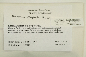  ( - CCDB-25688-H06)  @11 [ ] CreativeCommons - Attribution Non-Commercial Share-Alike (2018) Masha L. Kuzmina Canadian Centre for DNA Barcoding
