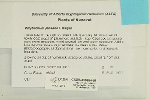  ( - CCDB-25695-F08)  @11 [ ] CreativeCommons - Attribution Non-Commercial Share-Alike (2018) Masha L. Kuzmina Canadian Centre for DNA Barcoding