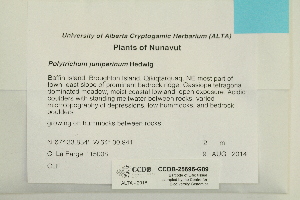  ( - CCDB-25695-G09)  @11 [ ] CreativeCommons - Attribution Non-Commercial Share-Alike (2018) Masha L. Kuzmina Canadian Centre for DNA Barcoding