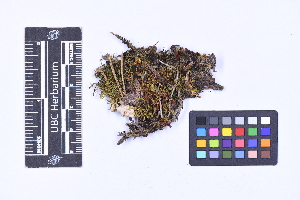  ( - CCDB-21223 F02)  @11 [ ] CC BY-NC-ND (2025) Connor Wardrop Beaty Biodiversity Museum, University of British Columbia