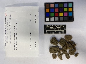  ( - UBC-B-B219220)  @11 [ ] (by-nc) (2023) Unspecified University of British Columbia Herbarium