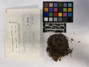  ( - UBC-B-B16731)  @11 [ ] (by-nc) (2023) Unspecified University of British Columbia Herbarium
