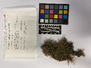  ( - UBC-B-B247344)  @11 [ ] (by-nc) (2023) Unspecified University of British Columbia Herbarium