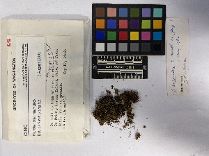  ( - UBC-B-B43980)  @11 [ ] (by-nc) (2023) Unspecified University of British Columbia Herbarium