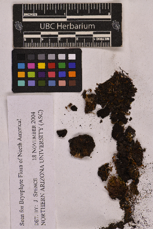  ( - UBC-B-B25745)  @11 [ ] (by-nc) (2025) Unspecified University of British Columbia Herbarium