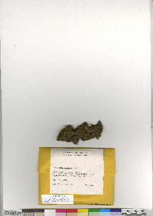  ( - CCDB-24821-D06)  @11 [ ] CreativeCommons - Attribution (2015) Canadian Museum of Nature Canadian Museum of Nature