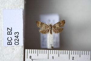  ( - CCDB-11133-E05)  @12 [ ] Copyright  B. Zlatkov 2011 Unspecified