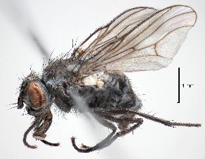  ( - BUIC-DIP1764)  @13 [ ] CreativeCommons - Attribution Non-Commercial Share-Alike (2019) Jade Savage Bishop's University