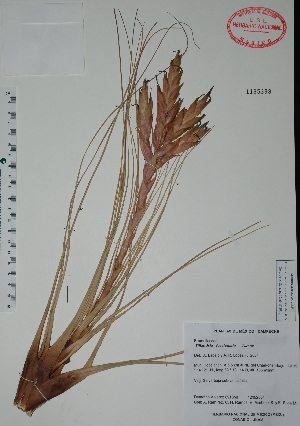 ( - Alvarez8918bis)  @11 [ ] Unspecified (default): All Rights Reserved  Unspecified Unspecified