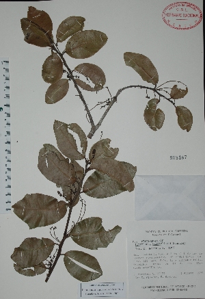  ( - Mtz28139)  @11 [ ] Unspecified (default): All Rights Reserved  Unspecified Unspecified