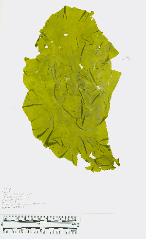  ( - JLC00250)  @11 [ ] Unspecified (default): All Rights Reserved (2022) Canadian Museum of Nature by-nc