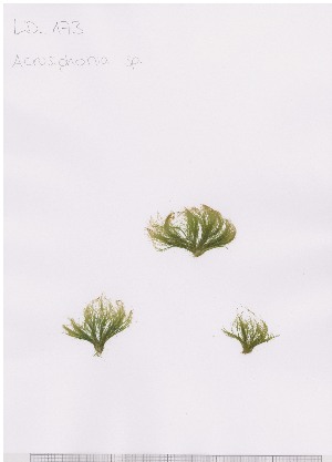  ( - LD00656)  @11 [ ] by-nc (2022) Unspecified Canadian Museum of Nature