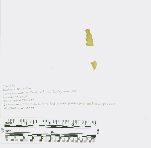  ( - JLC00276)  @11 [ ] by-nc (2031) Canadian Museum of Nature Unspecified