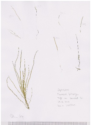  ( - LD00506)  @11 [ ] by-nc (2022) Unspecified Canadian Museum of Nature