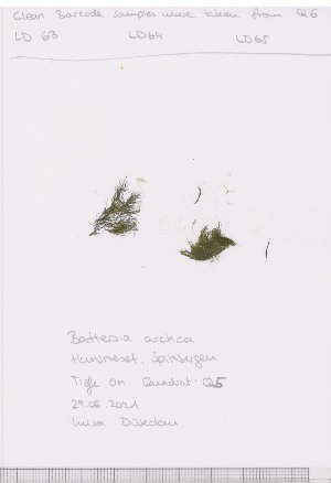  ( - LD00556)  @11 [ ] by-nc (2022) Unspecified Canadian Museum of Nature