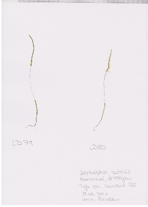  ( - LD00570)  @11 [ ] by-nc (2022) Unspecified Canadian Museum of Nature