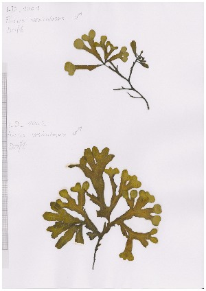  ( - LD00769)  @11 [ ] by-nc (2022) Unspecified Canadian Museum of Nature