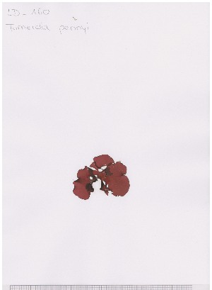  ( - LD00645)  @11 [ ] by-nc (2022) Unspecified Canadian Museum of Nature