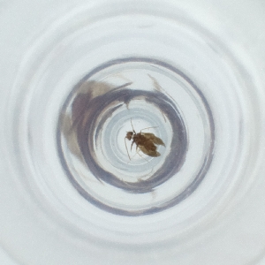  ( - CARR_008_C11)  @11 [ ] by  Genome Research Ltd as Wellcome Sanger Institute Genome Research Limited operating as Wellcome Sanger Institute