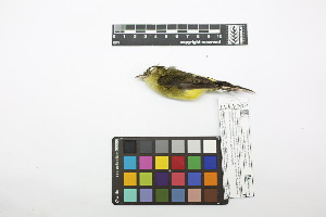  ( - 0431-II_SCC702)  @11 [ ] CreativeCommons - Attribution Non-Commercial Share-Alike (2018) Instituto de Investigacion Alexander von Humboldt (IAvH) Instituto de Investigacion Alexander von Humboldt (IAvH)