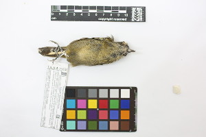  ( - 0468-II_SCC739)  @11 [ ] CreativeCommons - Attribution Non-Commercial Share-Alike (2018) Instituto de Investigacion Alexander von Humboldt (IAvH) Instituto de Investigacion Alexander von Humboldt (IAvH)