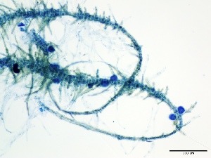  ( - GWS007893)  @11 [ ] Unspecified (default): All Rights Reserved  Unspecified Unspecified