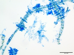  ( - GWS007922)  @11 [ ] Unspecified (default): All Rights Reserved  Unspecified Unspecified