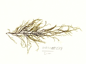  ( - GWS008289)  @11 [ ] Unspecified (default): All Rights Reserved  Unspecified Unspecified