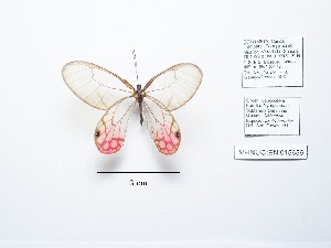  ( - CBMP0089)  @11 [ ] Copyright (2022) Unspecified photoshop