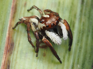  ( - CCDB-50480-14)  @11 [ ] nrr (2025) Unspecified Unspecified